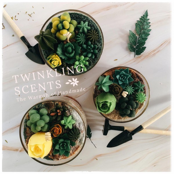 多肉植物蠟燭盆栽班