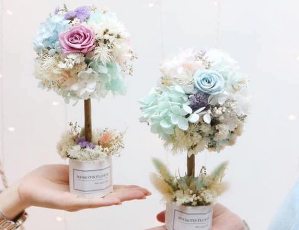 人氣小花樹盆栽工作坊